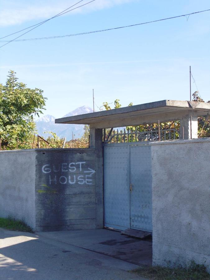 Florians Guesthouse Shkodra Exterior foto